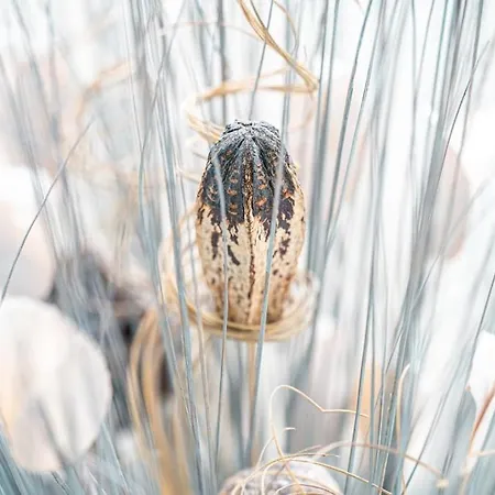 4 Etoiles - Au P'tit Bonheur Normand Dom wakacyjny Bourth
